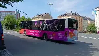 HOFBUS MEGA compilation (11)