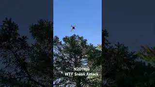 N201WG WTF Sneak Attack Dirk R Wolf Troy MI #AerialStalker #aviation #flying #generalaviation