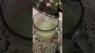 Рецепт желе Carnivore