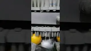 Orange Automatic Packaging Line # Packaging Automation  # Fruit sorting #Belt Conveyor