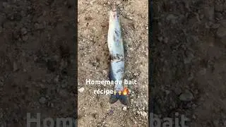 For under $5 it&rsquo;s perfect for a beginner budget 🔥 #fishing #catfish #viral #fyp #likeandsubscribe