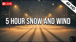 5 Hours Heavy Snowstorm & Wind Sounds ❄️ Deep Sleep & Study
