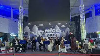 All I want for Christmas is you #mariahcarey #christmas #popularsongs #orchestra #livemusic #strings
