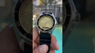 Casio Diver, Marin Gear. 100M
