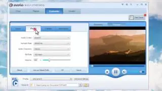 Tutorial on how to convert flv to wmv