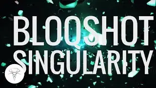 BLOQSHOT &ndash; Singularity