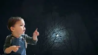 Mетаморфози