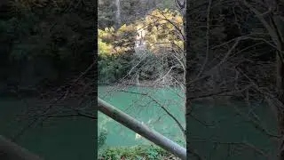 Gola del furlo#nature #aqualagna#trip