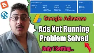 Wordpress Website ads not Running | Wordpress website Google ads Not Working