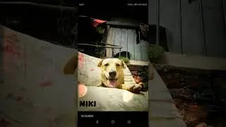 SL Pet