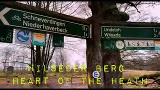 Wilseder Berg - Heart of the Heath / Germany, Bispingen
