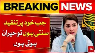 CM Punjab Responds to Criticism | Surprised by Negative Remarks | Breaking News