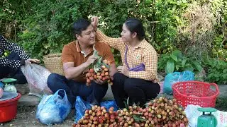 Doctor Long's journey to help Tu Yen build her dream house. Harvest and go to the market with Tu Yen