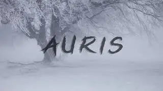 Timbaland Type Beat 2019 - &laquo;AURIS&raquo; | trap instrumental 2019