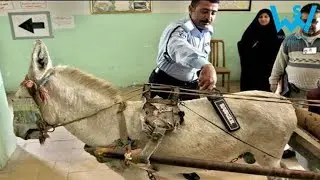Top 10 Funny Fail Compilation Part 7|| #short #funny #compilation
