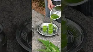 Papaya Leaf Juice #asmrfood #veganrecipes #health #asmrcooking #detox #juice #papaya
