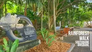 Rainforest Walk Southbank Brisbane | 6K [2023]