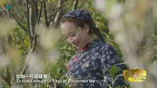 Biluochun tea processing techniques