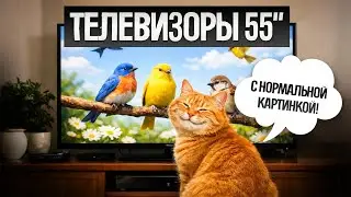 ТОП—5: Лучшие ТЕЛЕВИЗОРЫ 55