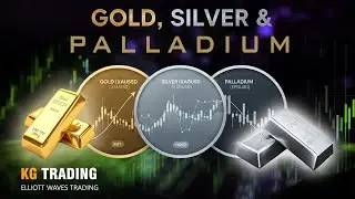 GOLD, SILVER & PALLADIUM | Urgent Updates !! Volatility Explained, what is NexT ??