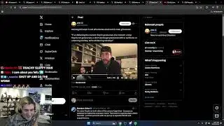 Асмонголд дал исчерпывающую оценку ситуации с FaZe Banks.
