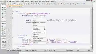 JavaScript Password Field.mp4