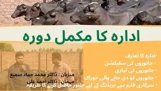 🌾 Livestock Department Punjab | Visit to Buffalo Research Institute Pattoki