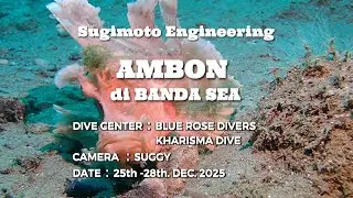 DIVING in AMBON BANDA SEA  25-28. DEC. 2025