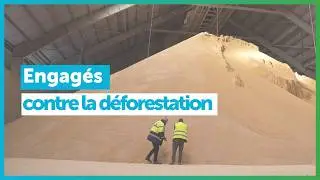 Engagés contre la déforestation