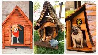 Best Dog House Design & Ideas | Indoor & Outdoor Cool Puppy House | DIY Dog House Plans | Interiors