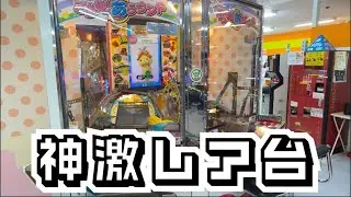 福井で見つけた超激レアメダルゲームでジャックポットなるか！？【北陸遠征②】