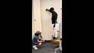 Pencil Drop Gravity Test