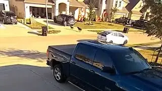 Surveillance captures dog attack on mom after fatal attack on nearby trail