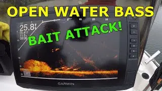 How to catch open water bass with Garmin Livescope February 2020