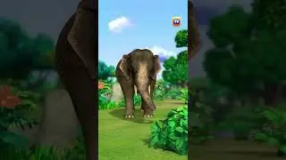 Draw Elephant 🐘😁 || Draw Monkey 🐒 Video For Kids 10M || #toys #kids #baby #viralvideo