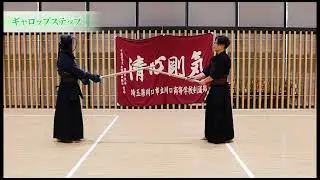 正規の講習会では言えない剣道ノウハウ／迷いが確信に変わる橋本先生の言葉