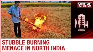 Central Government to bring law on stubble burning