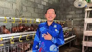 Kunjungan Kepala Dinas Pertanian dan Ketahanan Pangan (DPKP) DIY 