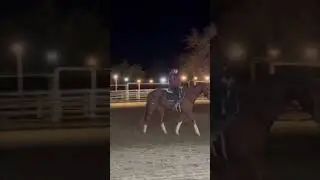 night vlog ✨️