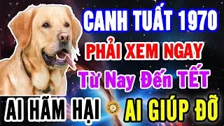 Canh Tuất 1970 từ Nay đến Tết Âm: Cực Kỳ Nhạy Cảm. Ai Là Tiểu Nhân, Ai Là Quý Nhân? Nhìn Kỹ Kẻo Nhầm
