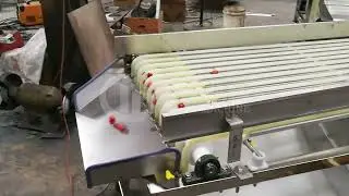 cherry sorting machine