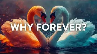 Why Swans Mate for Life &ndash; The Untold Truth Behind Nature&rsquo;s Most Loyal Birds