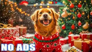 CHRISTMAS MUSIC FOR DOGS! A Happy & Friends Yule Log, Rudolph, Oh Christmas Tree, Xmas for Dogs!