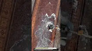 Cleaning carpet surface with Worktool rotary brush attachment water