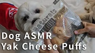 Dog ASMR 🐶 Crunchy Yak Cheese Puffs Eating Sounds