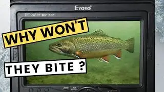 So Many Trout Under the Ice - Why Won't they Commit?