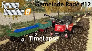 Wheat Harvest#Gemeinde Rade Map #12#Farmingsimulator19 #Timelapse