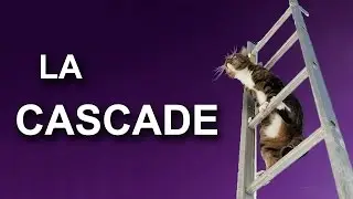 LA CASCADE - PAROLE DE CHAT