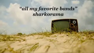 All My Favorite Bands