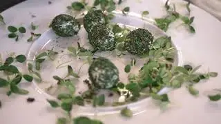 Quail Eggs Tahoon Cress